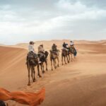 4 Days Trip From Marrakech To Fes through the Sahara Desert