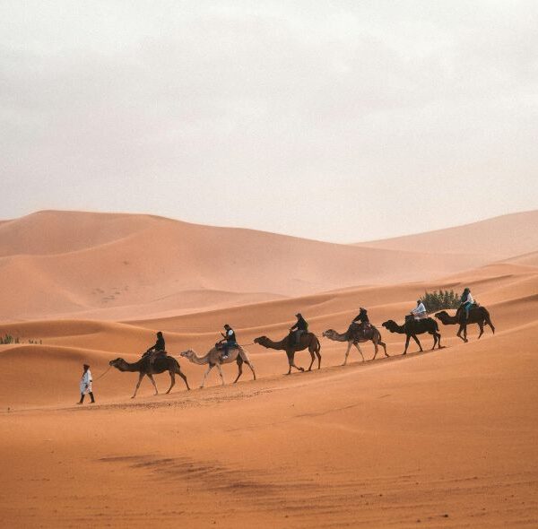 Morocco Tours Packages from Australia | Best Morocco Tours