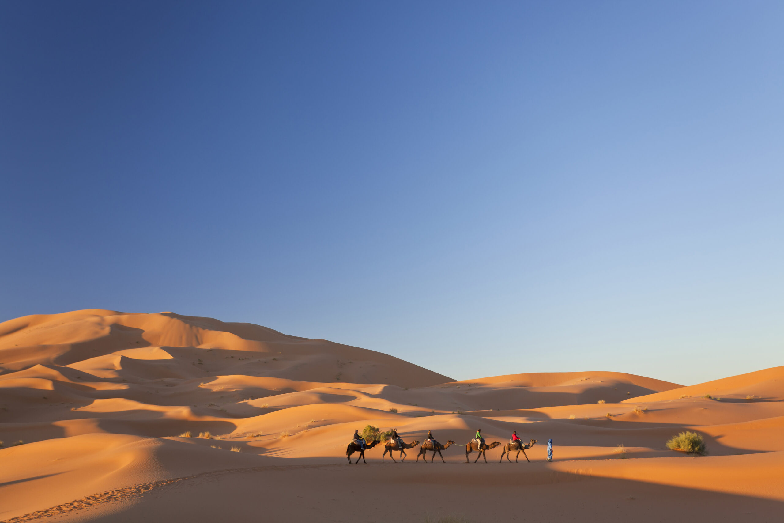 tours from errachidia