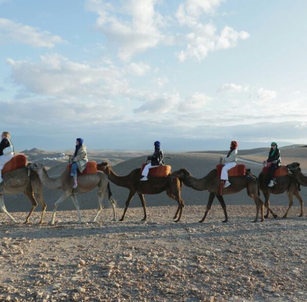 Marrakech Camel Desert Tour